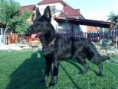 /album/fotky-od-clenov-klubu/kopia-01092009169-jpg/